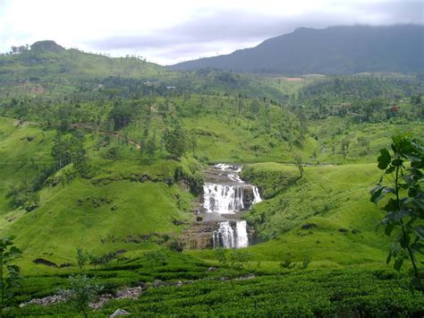 The Top Things To See And Do In Nuwara Eliya Sri Lanka