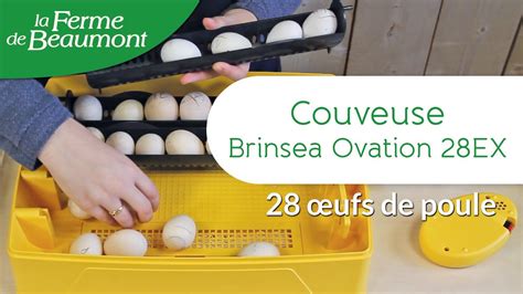 Couveuse Brinsea Ovation Ex Choisissez La Bonne Couveuse Pour Vos