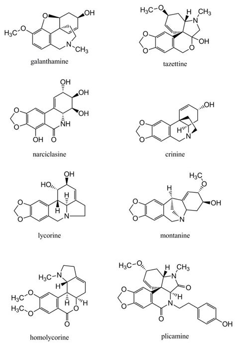 Ijms Free Full Text Towards A Molecular Understanding Of The