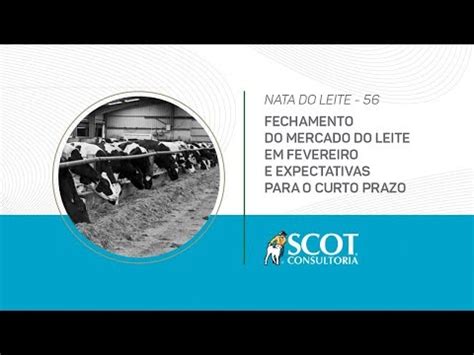 Fechamento Do Mercado Do Leite Em Fevereiro E Expectativas Para O Curto