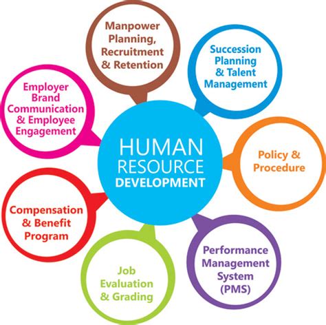 Hr Development Vs Hr Management