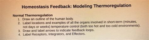 Solved Homeostasis Feedback Modeling Thermoregulation