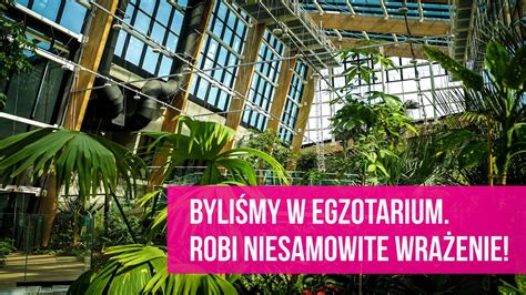 Nowe Egzotarium w Sosnowcu już prawie gotowe Zachwyca YouTube