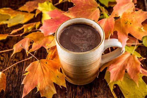 Hot Chocolate In The Fall Stock Image Image Of Color