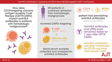 Anti Hla Antibodies In Recipients Of Cd19 Versus Bcma Targeted Car T