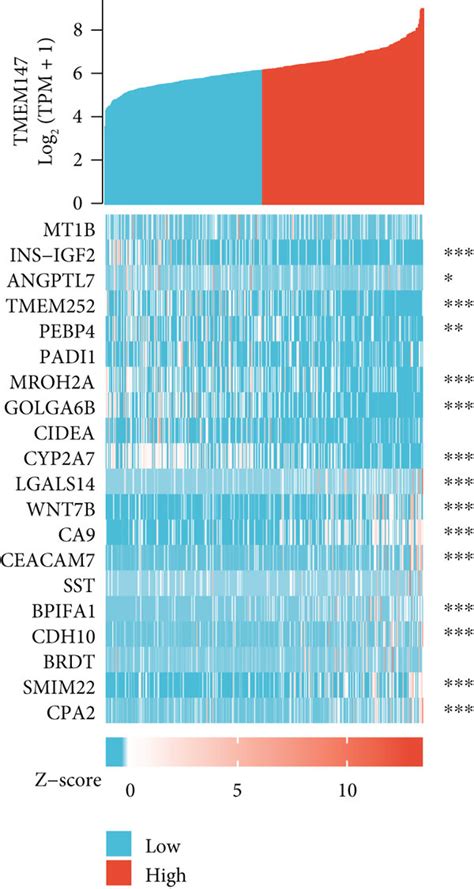 Tmem147 Expression Related Degs And Gokegg Enrichment Analysis For