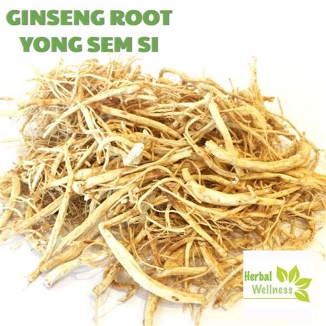 Promo Akar Ginseng Yang Shen Xu Som Chiu Kualitas Super Gram