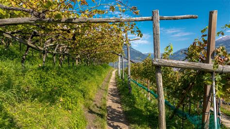 Guide De Randonn E Du Tyrol Du Sud Les Meilleurs Circuits Pour