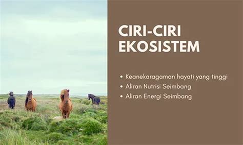 Ekosistem Adalah Pengertian Ciri Fungsi Jenis Komponen Dan