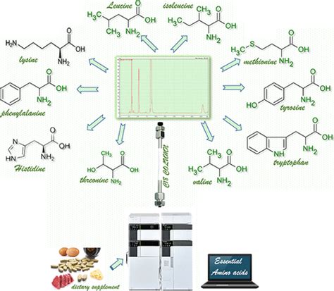 Underivatized Amino Acid Chromatographic Separation Optimized