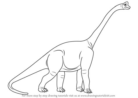 How to Draw a Sauropod (Dinosaurs) Step by Step | DrawingTutorials101.com