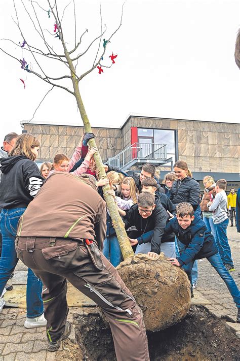 Ein Schattenspender Und Bunte Friedenstauben Mann Strom