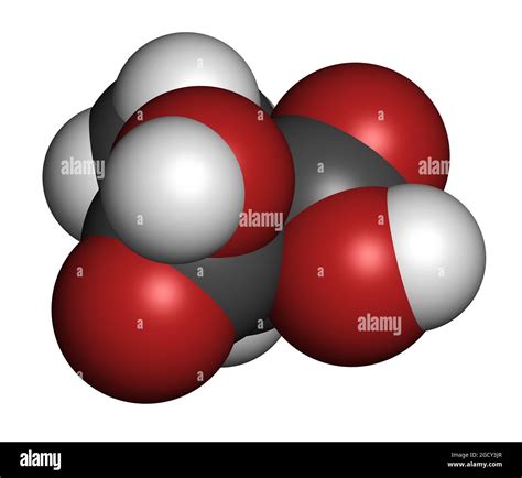 Methylmalonic Acid Molecule Increased Plasma Levels May Indicate