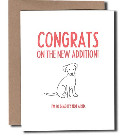 Congrats On The New Dog Greeting Card Power And Light Press Bobo