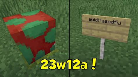 Sniffer Egg And Sign Editing Minecraft Snapshot 23w12a Youtube