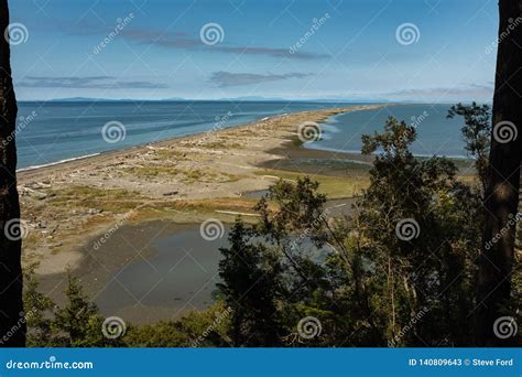 A View Out To Dungeness Spit Covered With Driftwood On The North Coast