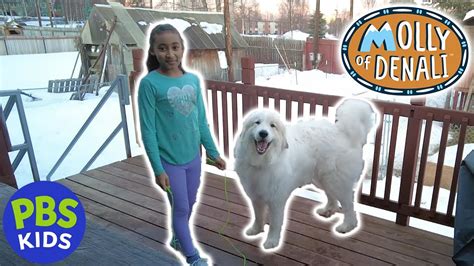 Molly Of Denali Awesome Alaskan Kids Caring For Pets Pbs Kids
