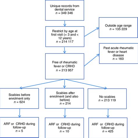 Study Flow Arf Acute Rheumatic Fever Crhd Chronic Rheumatic Heart