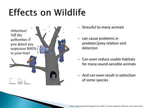 Ppt Noise Pollution Powerpoint Presentation Free Download Id 3075597