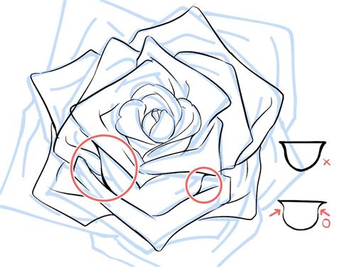 薔薇 バラ の描き方 誰でも簡単に描ける手順を解説 バラ 描き方 薔薇 書き方 描画のためのアイデア