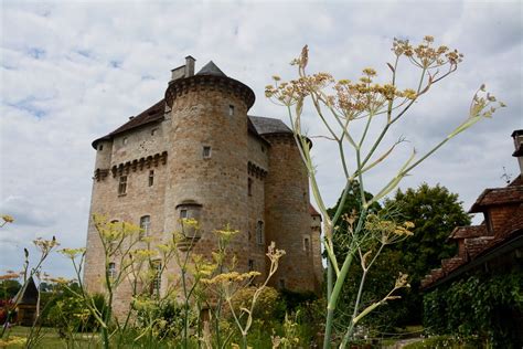 Chateau Flowers Yellow - Free photo on Pixabay