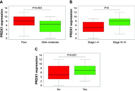 Relationship Between Prdx Expression And Clinicopathologic Parameters