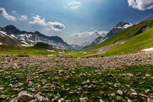 Albulapass ARTWIESE