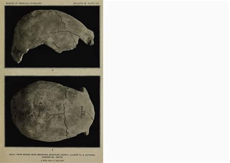 Pre-Clovis: Skeletal Remains Suggesting or Attributed to Early Man in ...