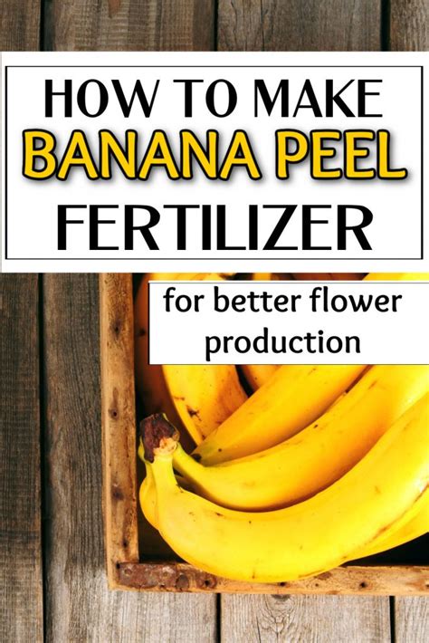 3 Ways To Make Banana Peel Fertilizer High Country Farms