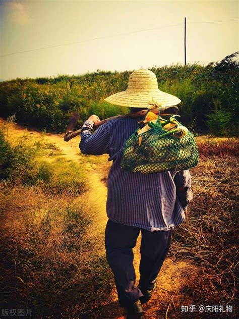 父亲节 和礼物君一起读懂那份孤独而深沉的父爱 知乎