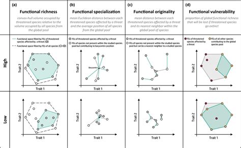 Representation Of The Functional Diversity Metrics A Functional