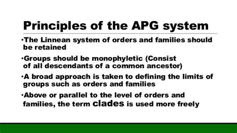 Angiosperm Phylogeny Grouping I Apg I