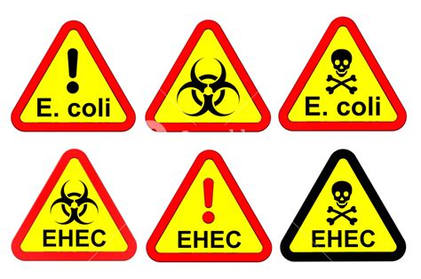 Warning Signs Set Isolated On White Royalty Free Stock Image Storyblocks