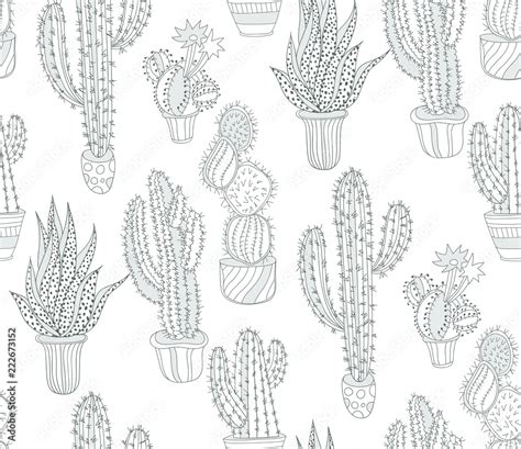 Drawn Cactus Desert Plant Seamless Background Line Drawing Vector