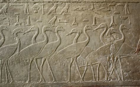 Images Of Birds In The Tombs At Saqqara Egypt Jewels Travel Adventures