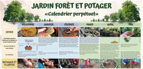 Calendrier Jardin Guide Permaculture Mois Par Mois