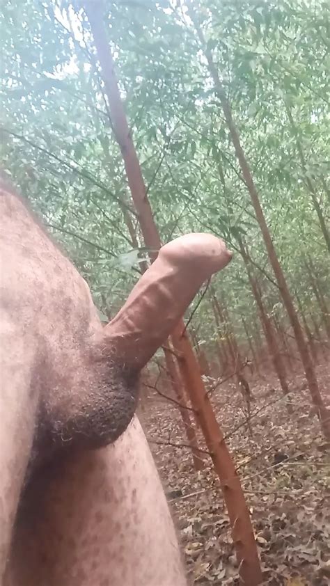 Outdoor Gay Porn Videos 7 XHamster