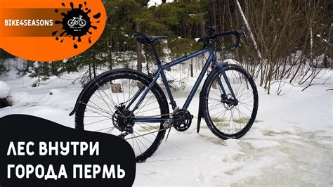 Черняевский лес / Балатовский парк / Катание на велосипеде в светлое и ...