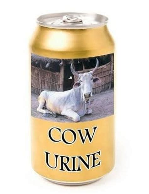 Cow Urine At 250 Litre In Pune ID 24288595733