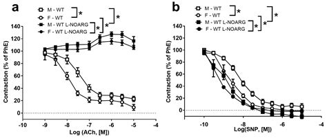 Ijms Free Full Text Sex Dependent Impairment Of Endothelium