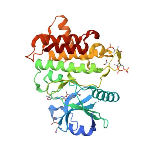 Rcsb Pdb 8tx0 Irak4 In Complex With Compound