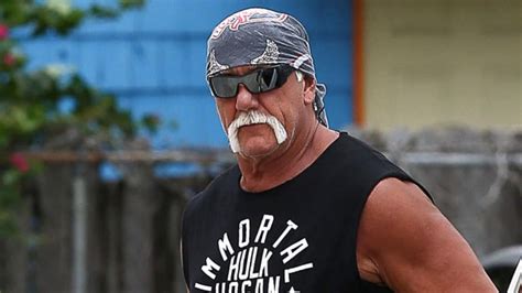 Video Hulk Hogan Fired From Wwe After Racist Remarks Go Public Abc News