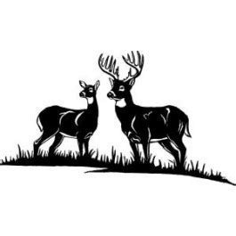 Buck And Doe Love Quotes. QuotesGram