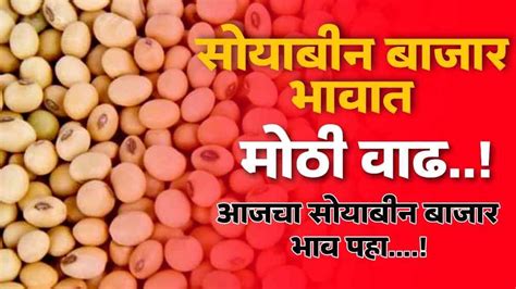 सोयाबीनला या बाजार समितीत मिळणार सर्वोच्च भाव पहा आजचे सोयाबीन बाजार भाव Soybean Market