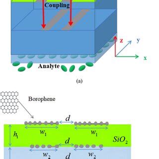 A Three Dimension Diagram Of The Proposed Borophene Based Structure B