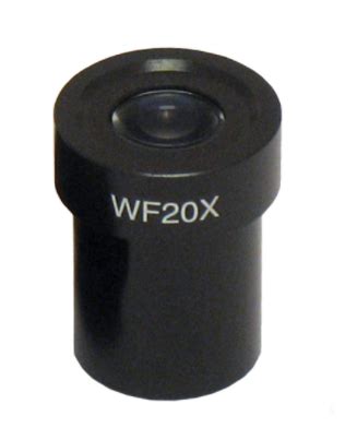 WF20x/12mm Field of View Eyepiece | Precise Microscope