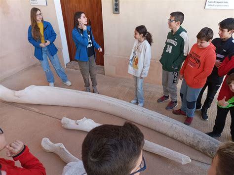 Visita Al Cimar Ies Figueras Pacheco