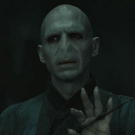 🪦lord voldemort🪦 | Personajes de harry potter, Mortifagos, Fotos de harry potter