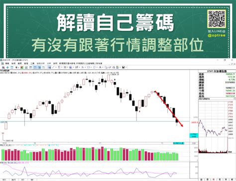 看懂三大法人選擇權，1次學會搭主力順風車