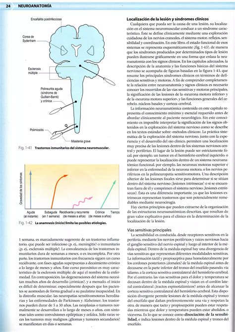 Neuroanatomia Texto E Atlas Portuguese Edition 3